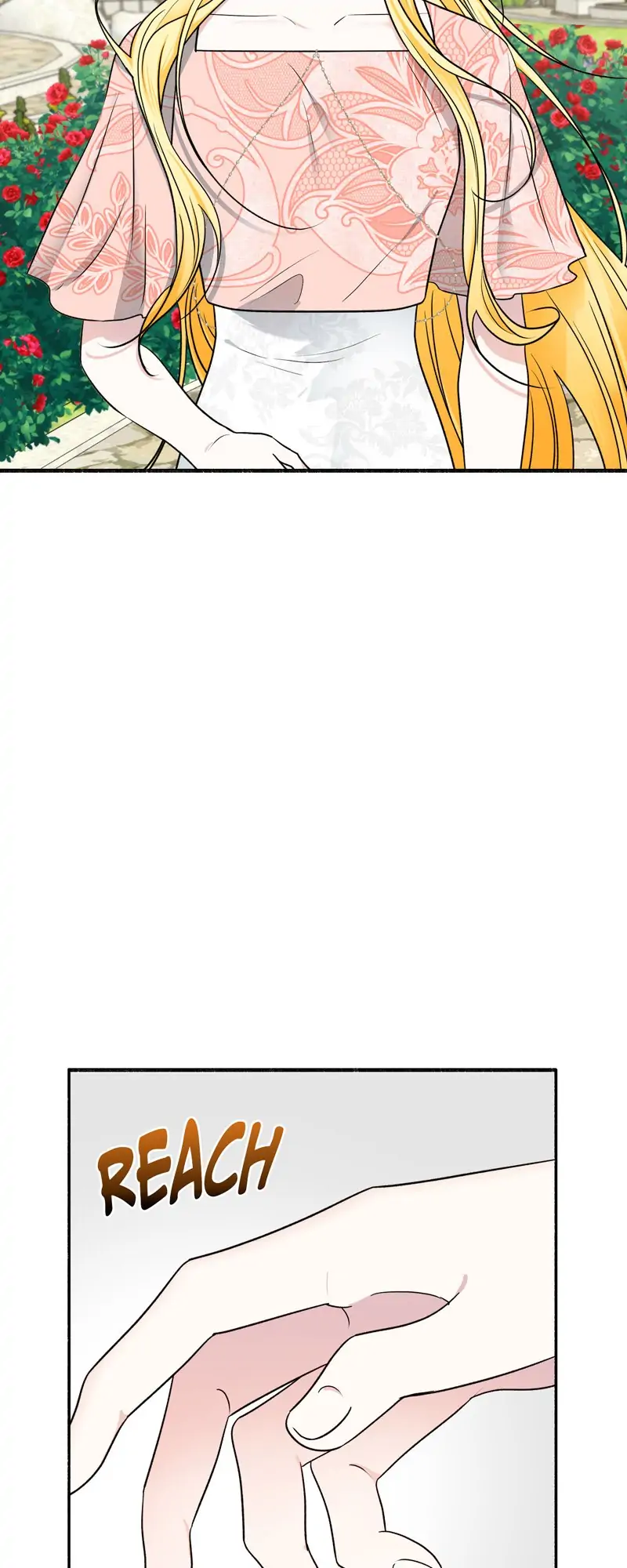 33488050 800 2000 85558